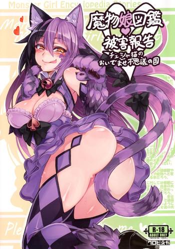 mamono musume zukan higai houkoku monstergirl encyclopedia damage report cover