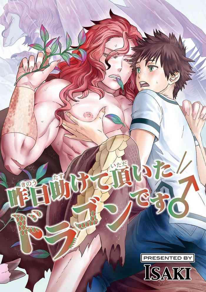 kinou tasukete itadaita dragon desu 1 1 cover