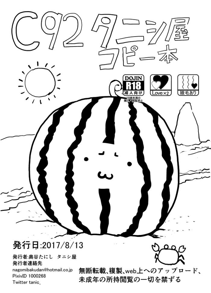 cover 27