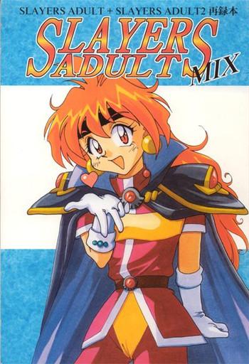 slayers adult mix cover