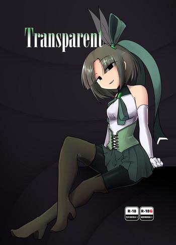 transparent cover