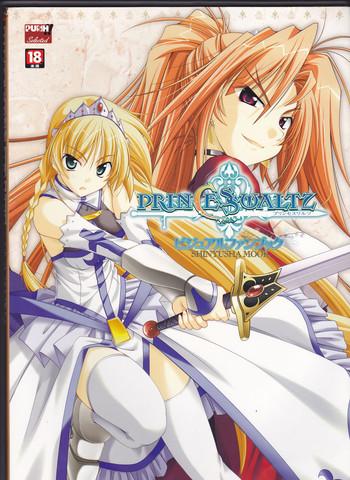 princess waltz artbook cover