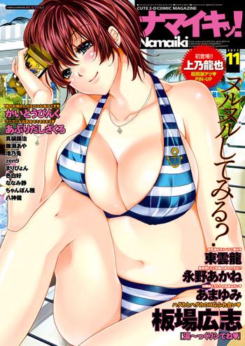 namaiki 2011 11 cover