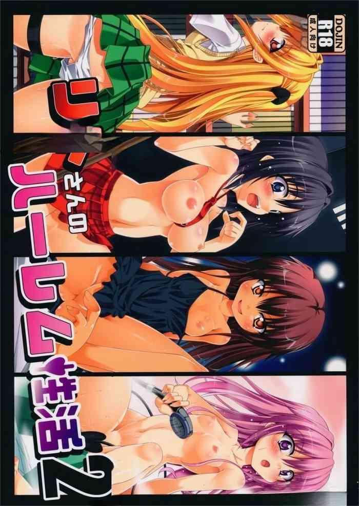 park jung su s harem sex 2 cover