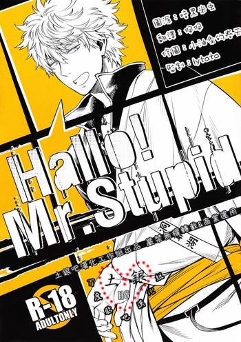 hallo mr stupid cover