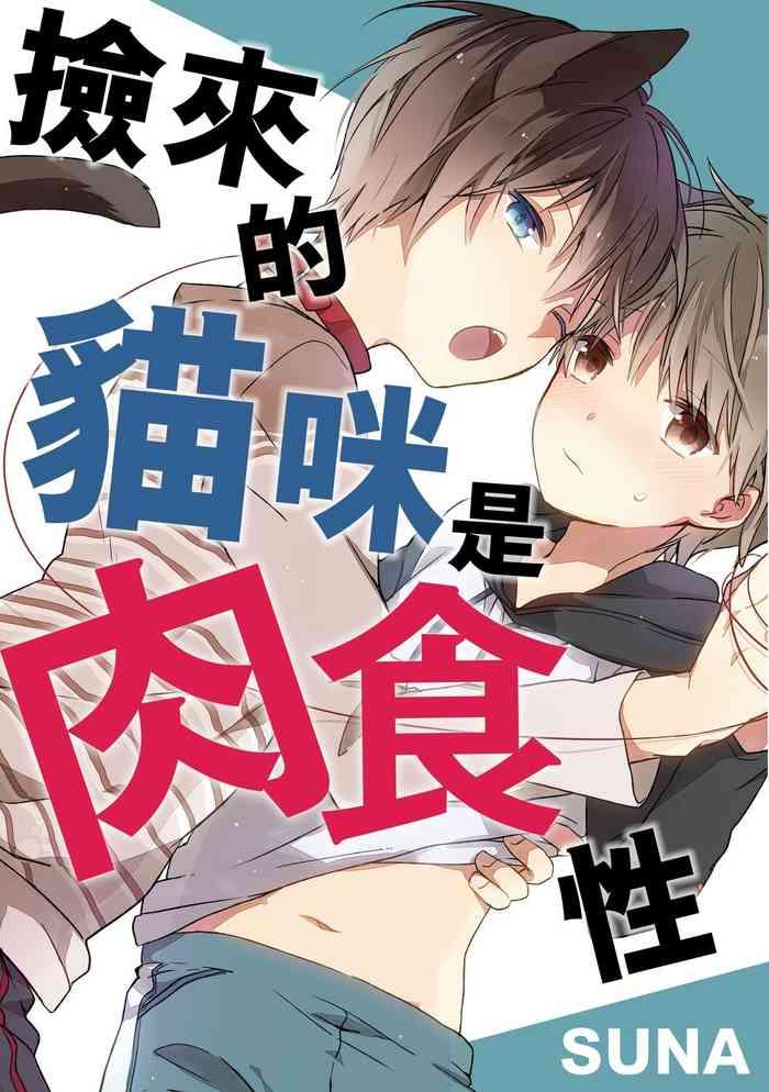 hirotta neko wa nikushokudeshita 3 kan cover