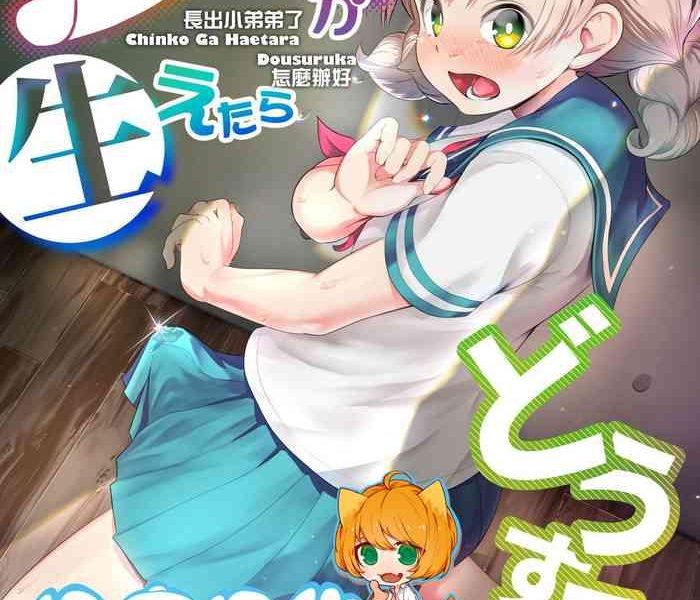 chinko ga haetara dou suru ka cover